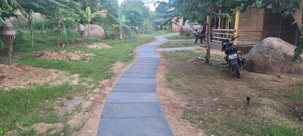 Monkey Paradise ฮัมปี ภายนอก รูปภาพ
